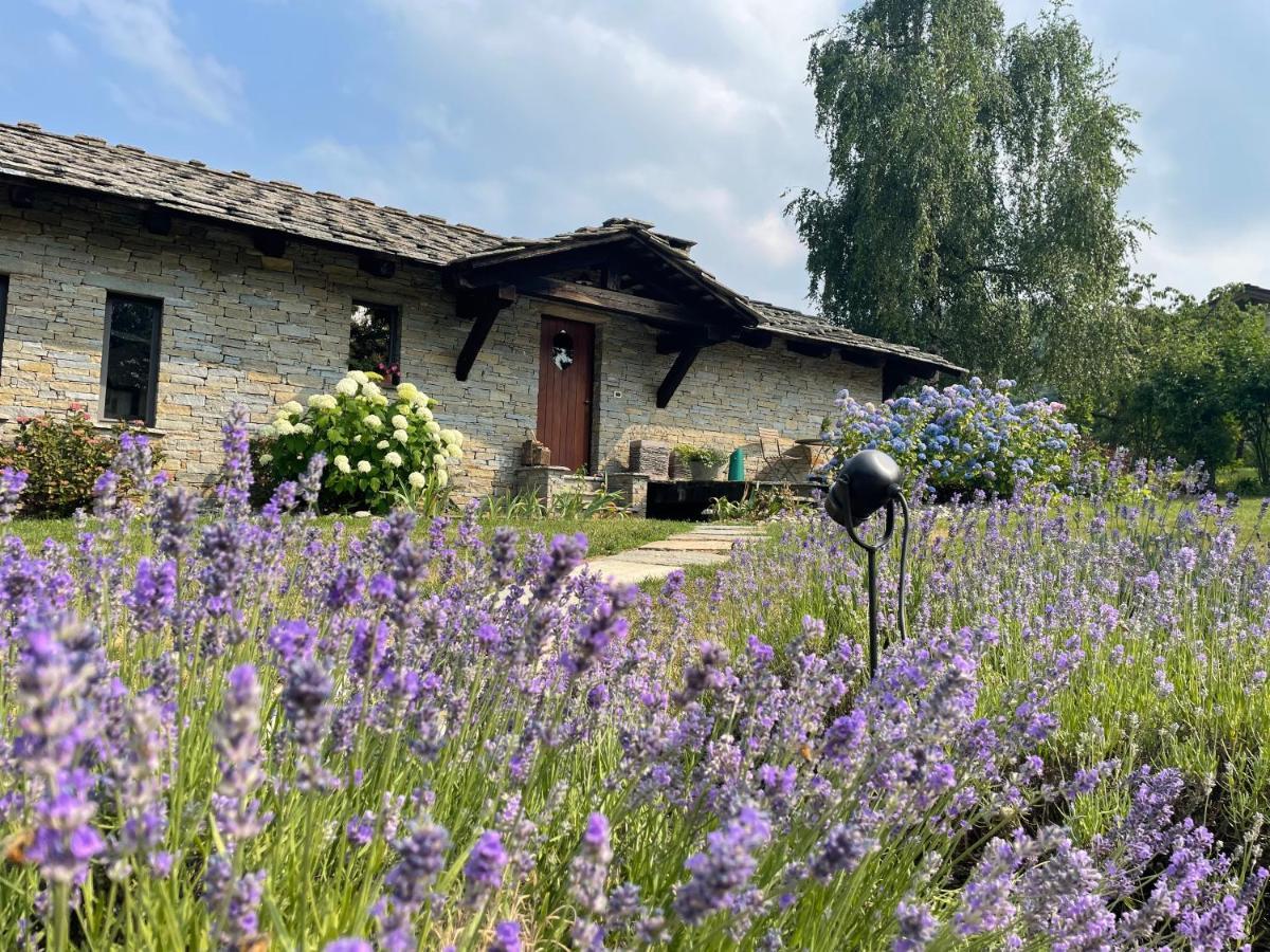 Dionisia'S Home, Pool, Spa On Monviso Unesco Alps Verzuolo Exterior photo